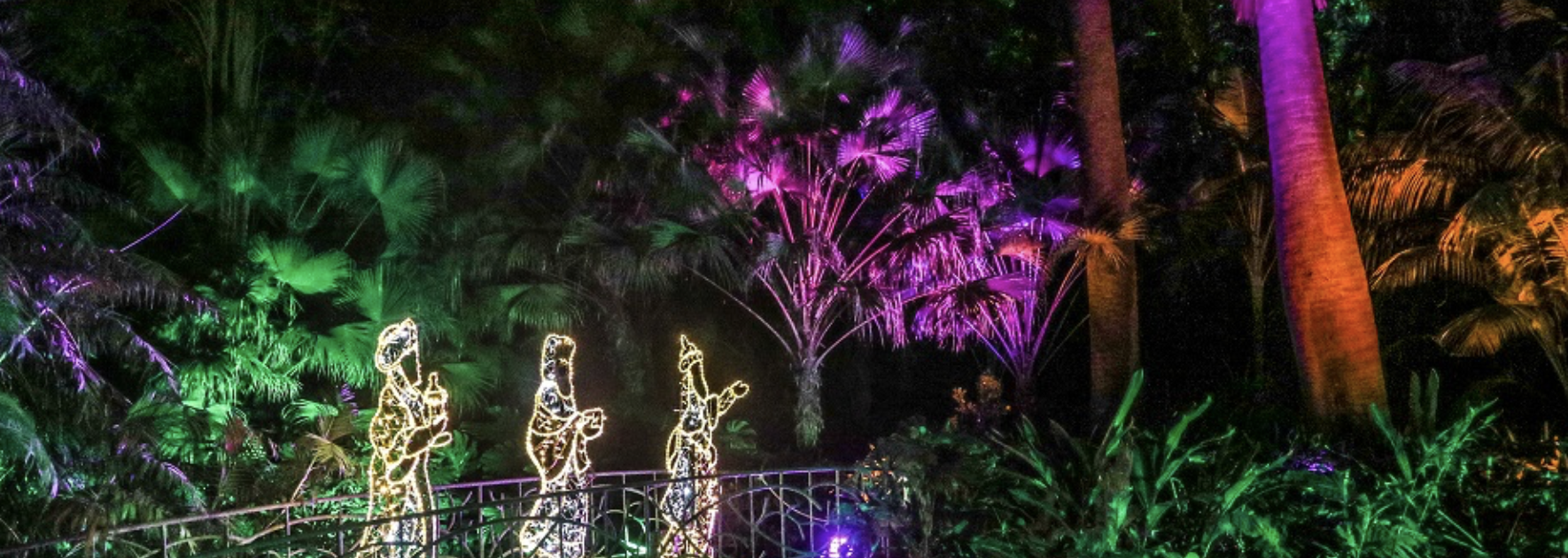 Jardín Botánico La Concepción Christmas. Three Wise Men